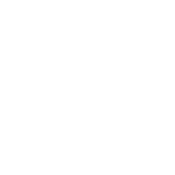 BNI BNI Member